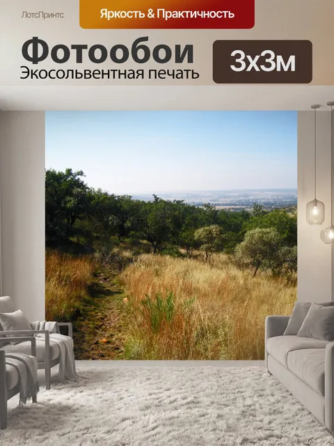 Фотообои вид на пешеходную тропу через траву