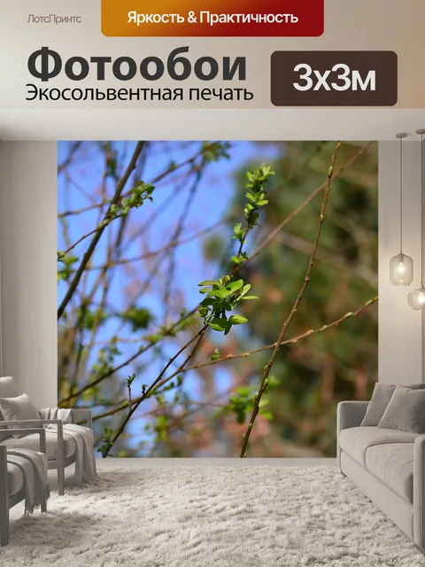 Фотообои Листья