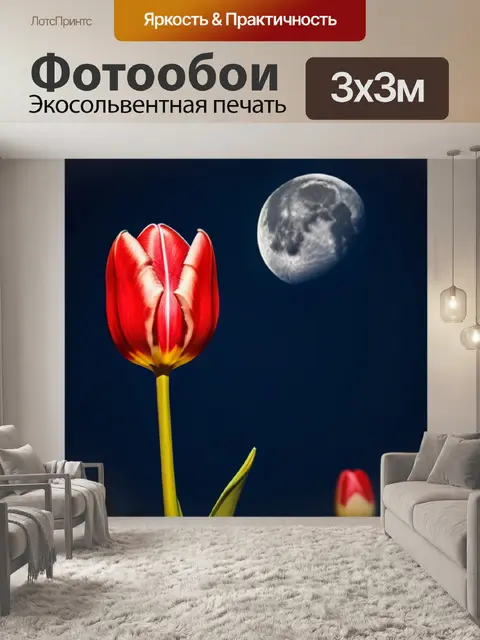 Фотообои тюльпан грация в ночь полной луны