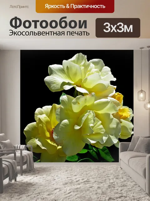 Фотообои Розы