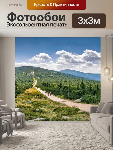 Фотообои Вид