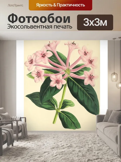 Фотообои Искусство иллюстрации садовых цветов
