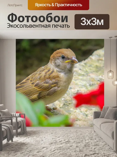 Фотообои Коричневый
