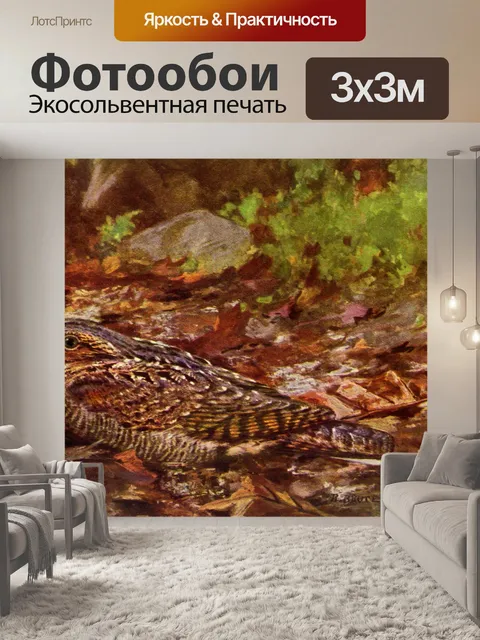Фотообои Живопись птицы-бедняги