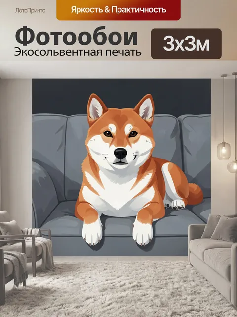 Фотообои Сиба-ину на сером диване