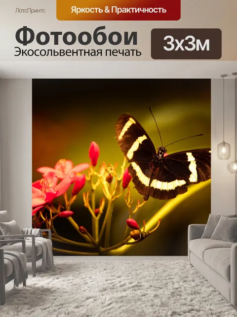 Фотообои Тропическая бабочка