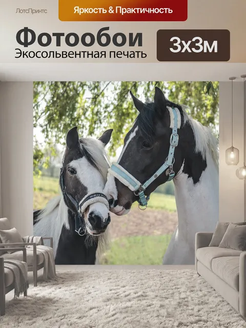 Фотообои Лошади