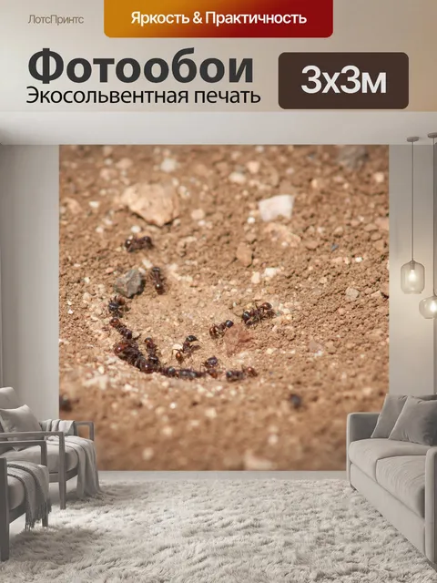 Фотообои Красные муравьи из колонии