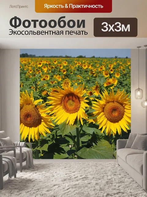 Фотообои Подсолнечное поле