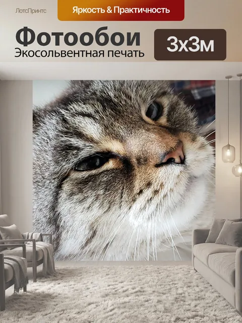 Фотообои часть сиамская кошка