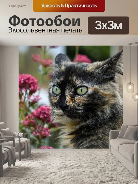 Фотообои Кошка