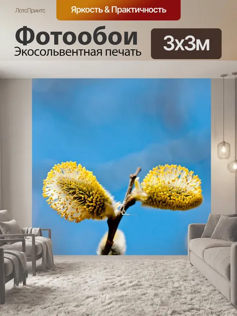 Фотообои Цветет
