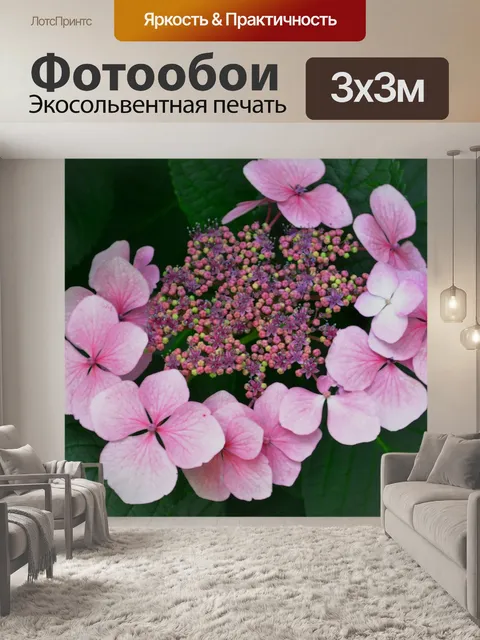 Фотообои Расцветает