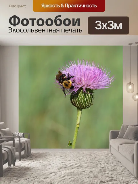 Фотообои Высокий чертополох и бамбука