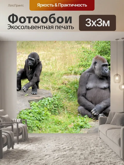 Фотообои Горилла