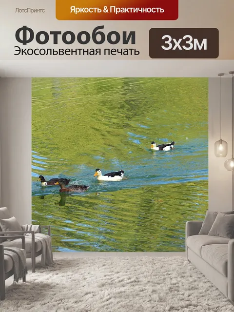 Фотообои Россия