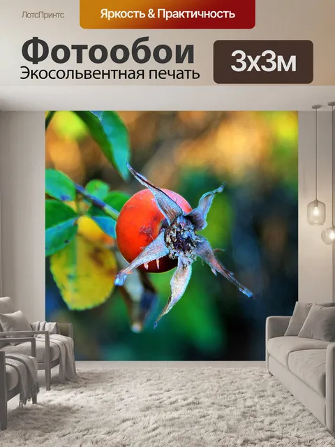 Фотообои красный шиповник