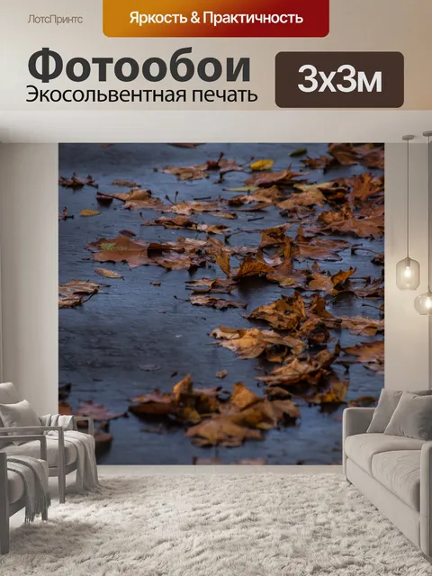 Фотообои Дождливый день Листья асфальта