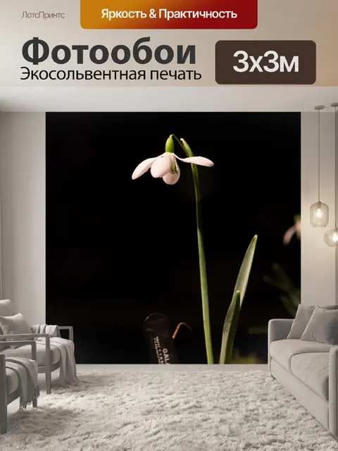 Фотообои Подснежник