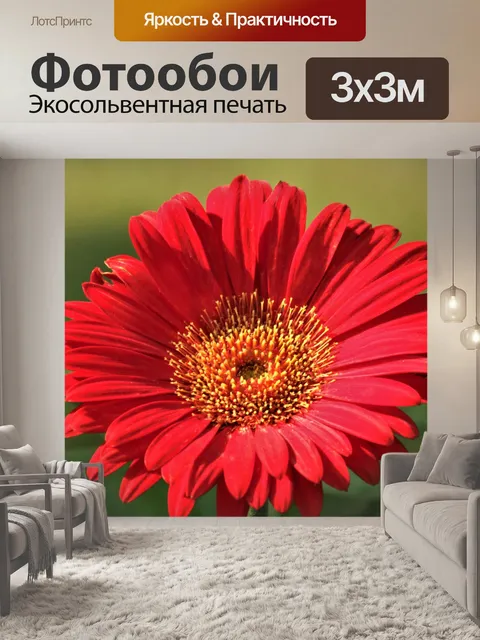 Фотообои Красный Гербер Дейзи на зеленом