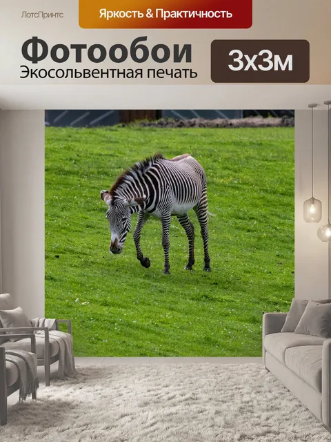 Фотообои Зебра