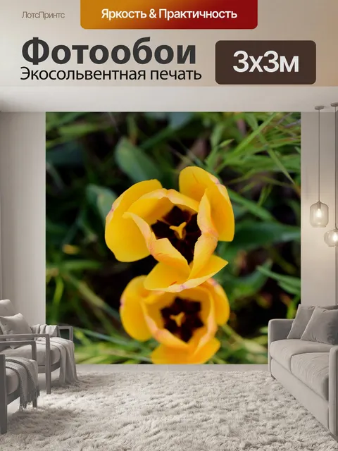 Фотообои Желтый тюльпан
