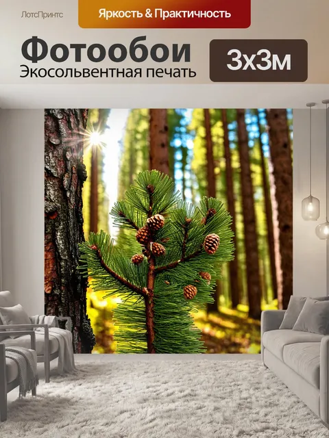 Фотообои хвойный лес с деревьями