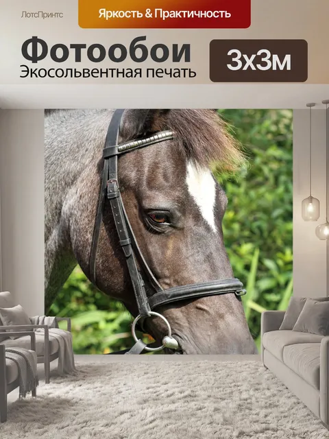 Фотообои Животное