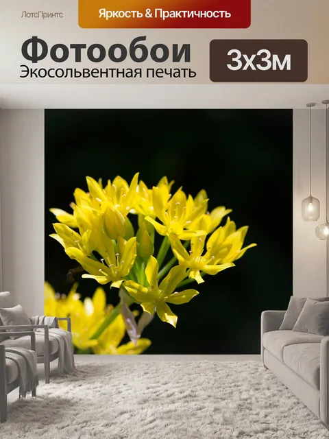 Фотообои Золотой лук-порей