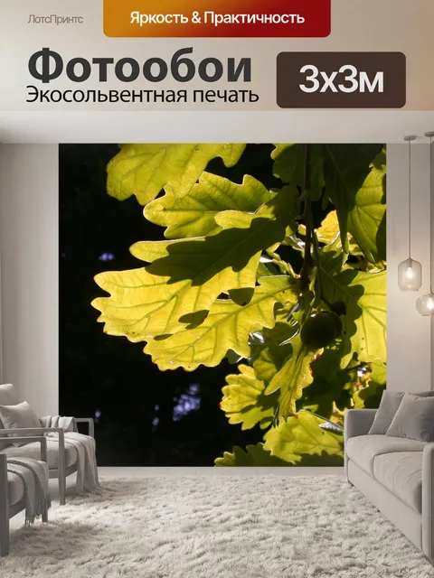 Фотообои Дуба на солнце