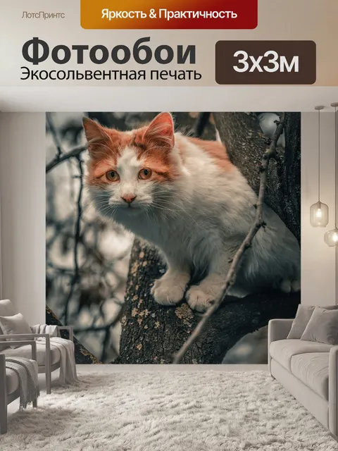 Фотообои Кошка