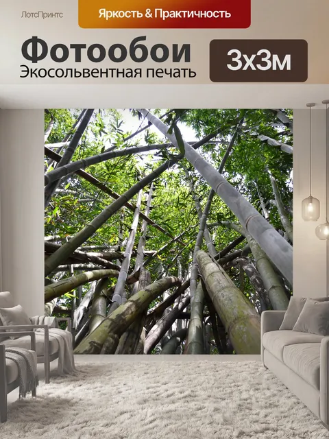 Фотообои Бамбуковые леса
