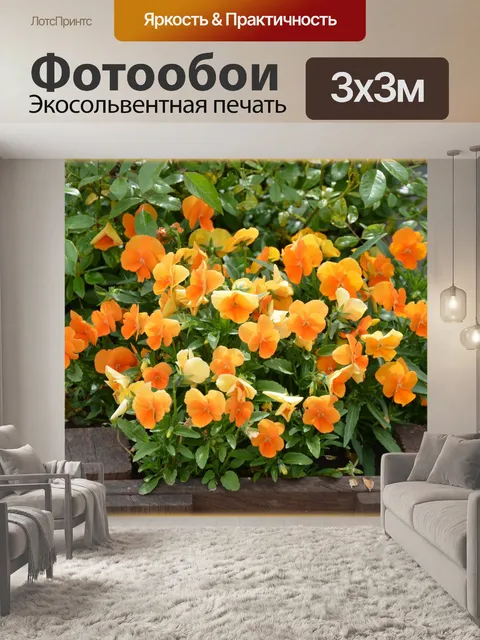Фотообои Голландские цветы в саду