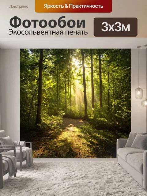 Фотообои пейзаж с густым лесом, где солнце пробивается сквозь листву, создавая узоры света и теней на земле