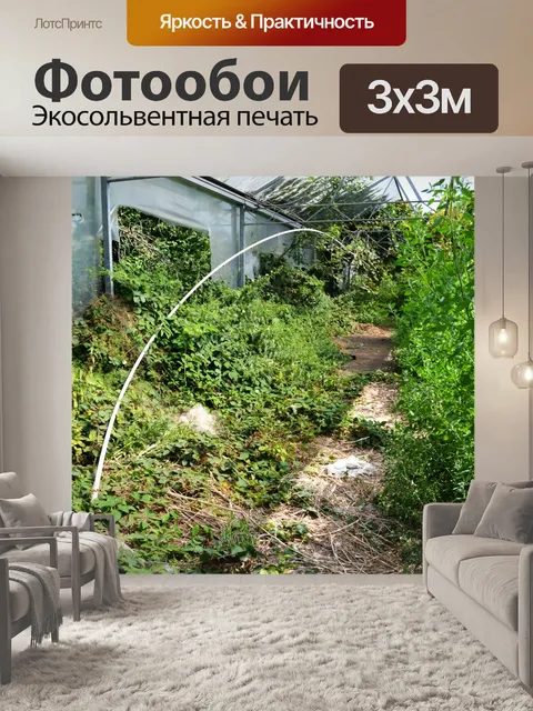 Фотообои Заброшенная теплица