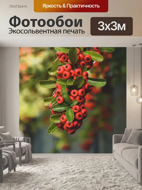 Фотообои Красные ягоды