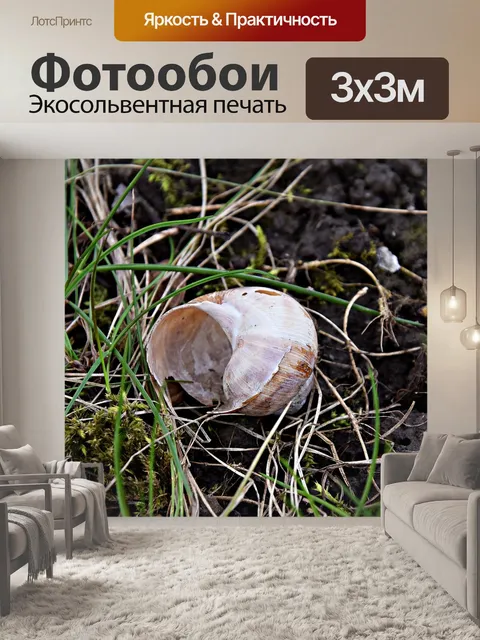 Фотообои Улитка