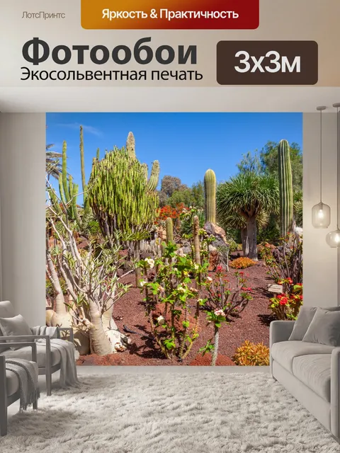 Фотообои Кактусовый сад