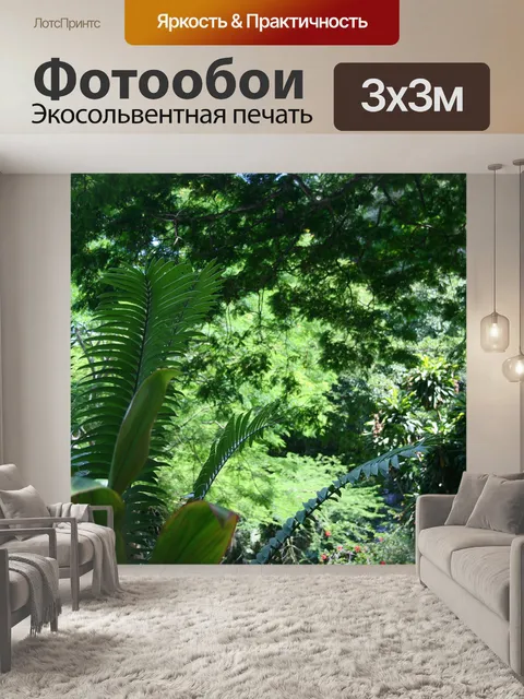 Фотообои Cycad с пышной растительностью