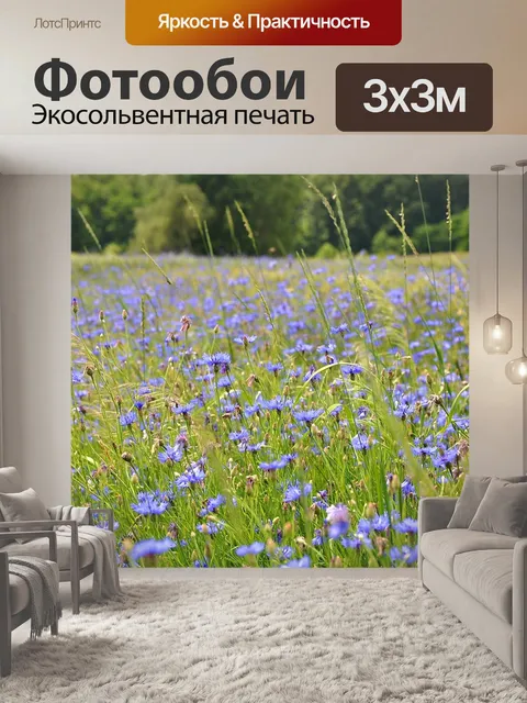 Фотообои Уайлдфлауэр