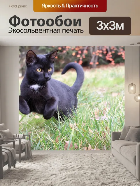 Фотообои Черный
