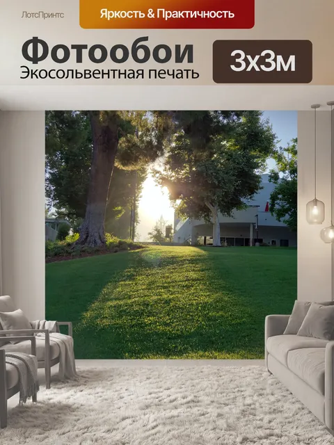 Фотообои Утренний свет
