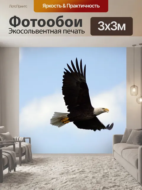 Фотообои Белоголовый орлан