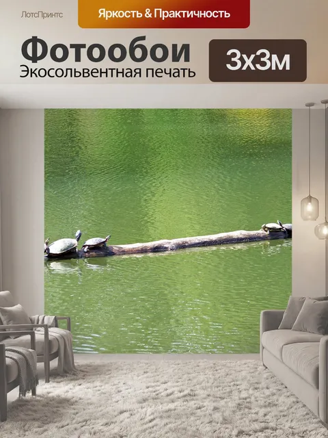 Фотообои Черепаха