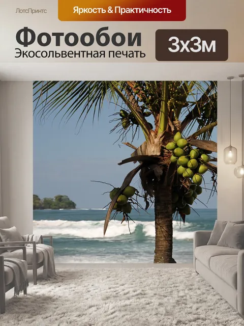 Фотообои Кокос