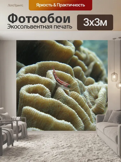 Фотообои Молодь бычка