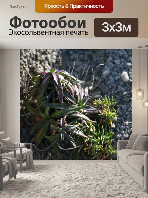 Фотообои Пляжный цвет