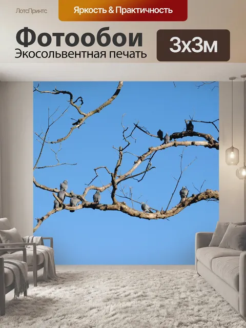 Фотообои Пейзаж