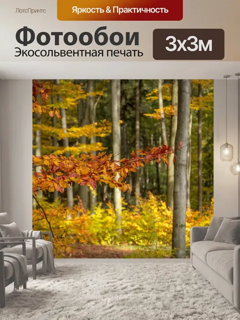 Фотообои Осенний лес