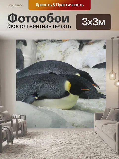 Фотообои Пингвины